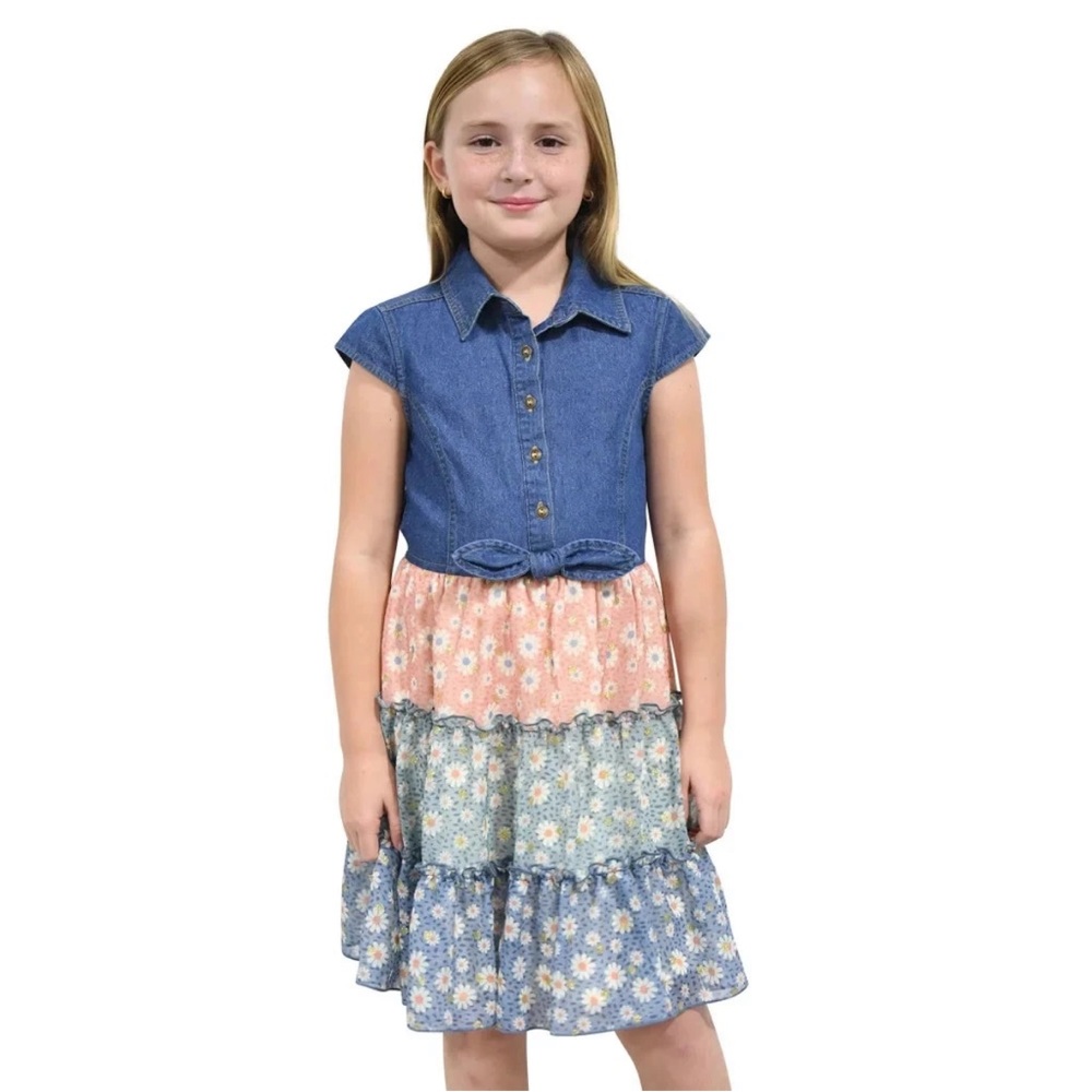 Zunie Blue and Floral Tiered Dress
